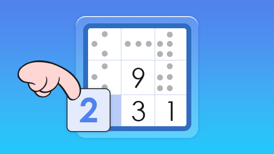 sudoku entry